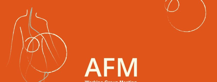 Image of AFM Working Group Meeting